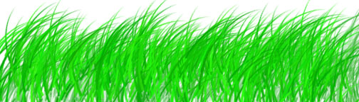 brushes-grass.jpg